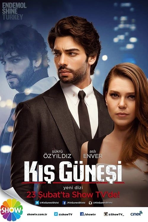 Les saisons de Kış Güneşi sont-elles disponibles sur Netflix ou autre ?