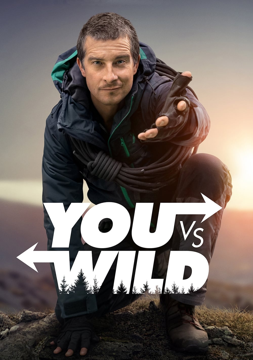 Affiche de la série You vs. Wild poster