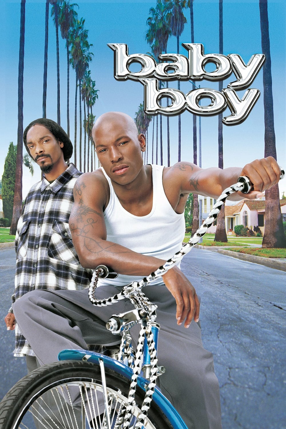 Affiche du film Baby Boy poster
