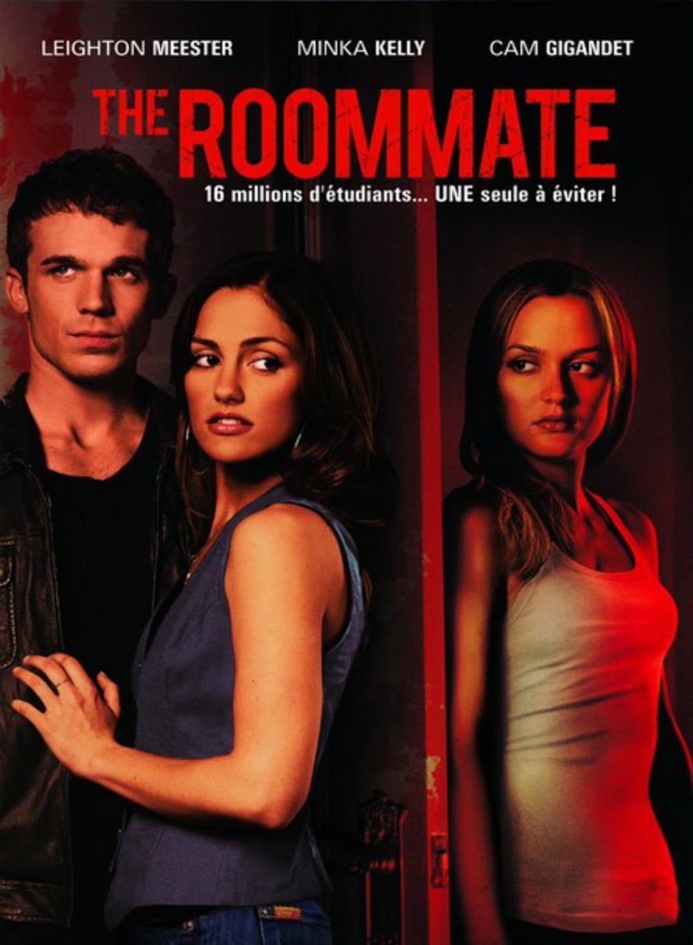 The Roommate est-il disponible sur Netflix ou autre ?