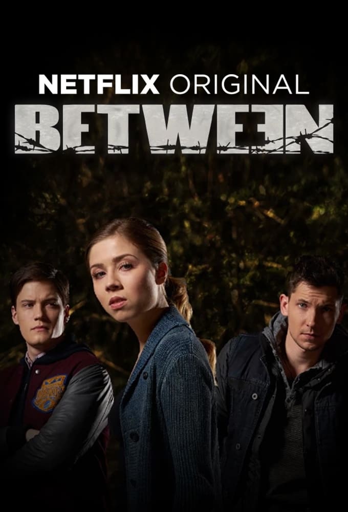 Les saisons de Between sont-elles disponibles sur Netflix ou autre ?