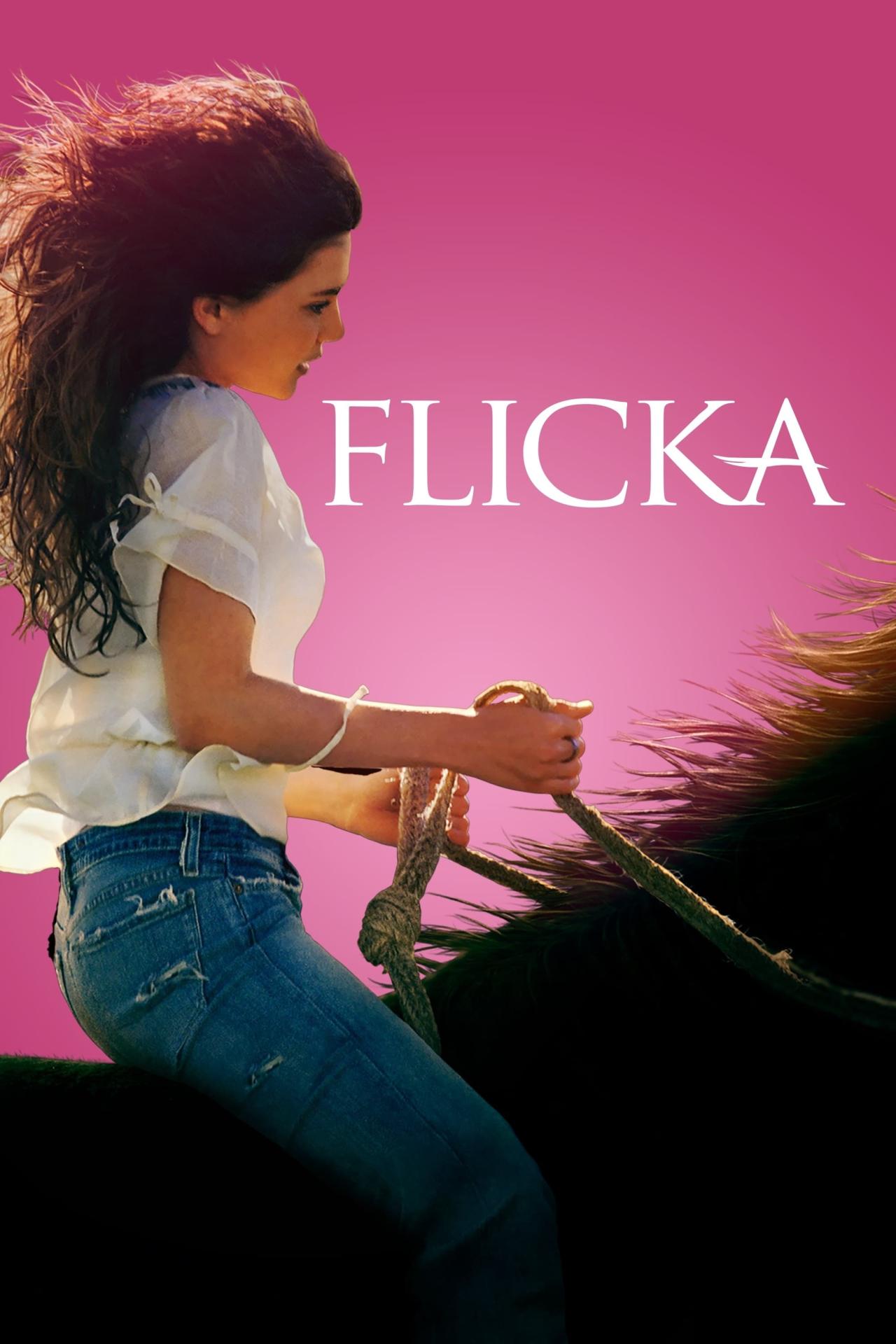 Affiche du film Flicka poster