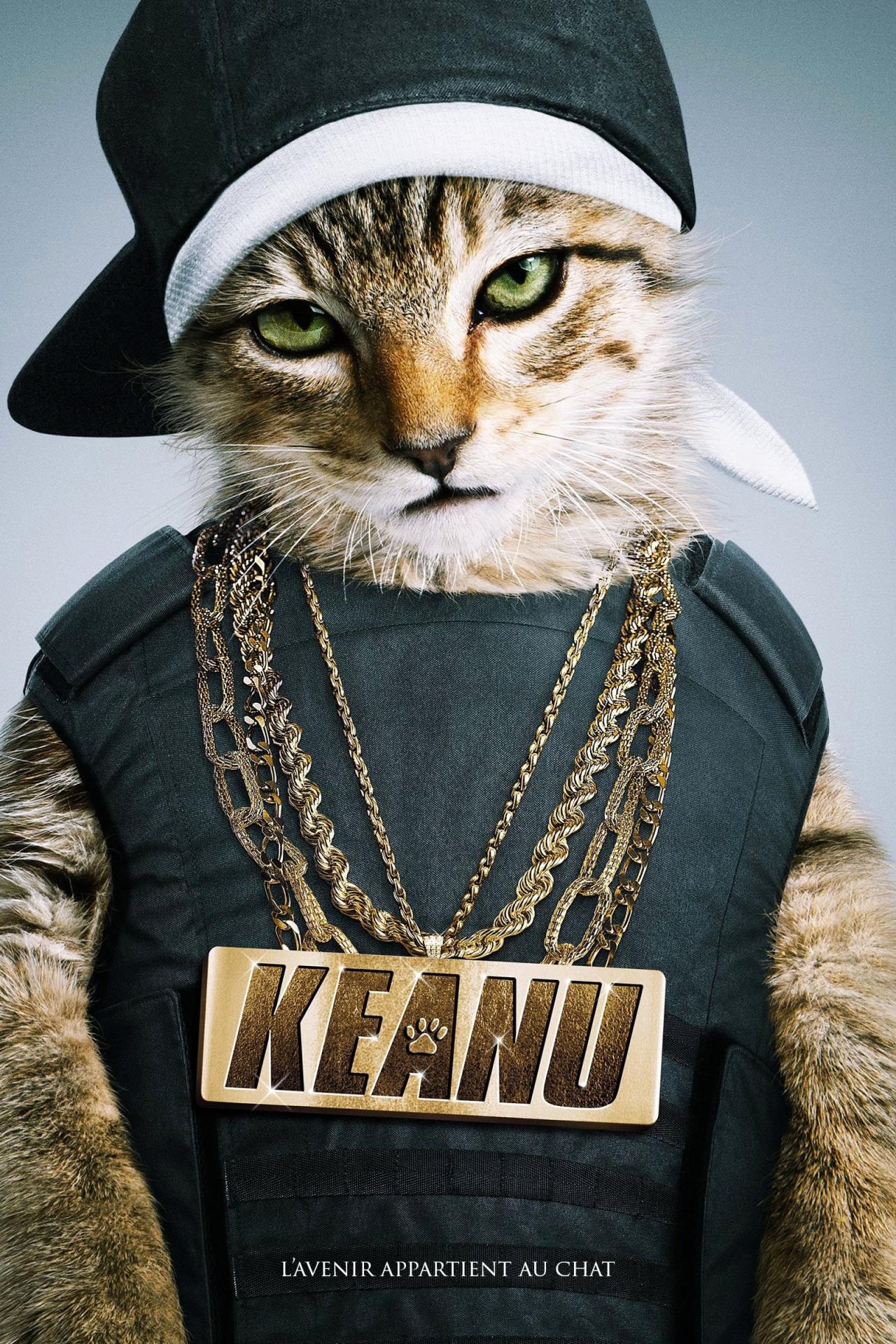 Keanu est-il disponible sur Netflix ou autre ?