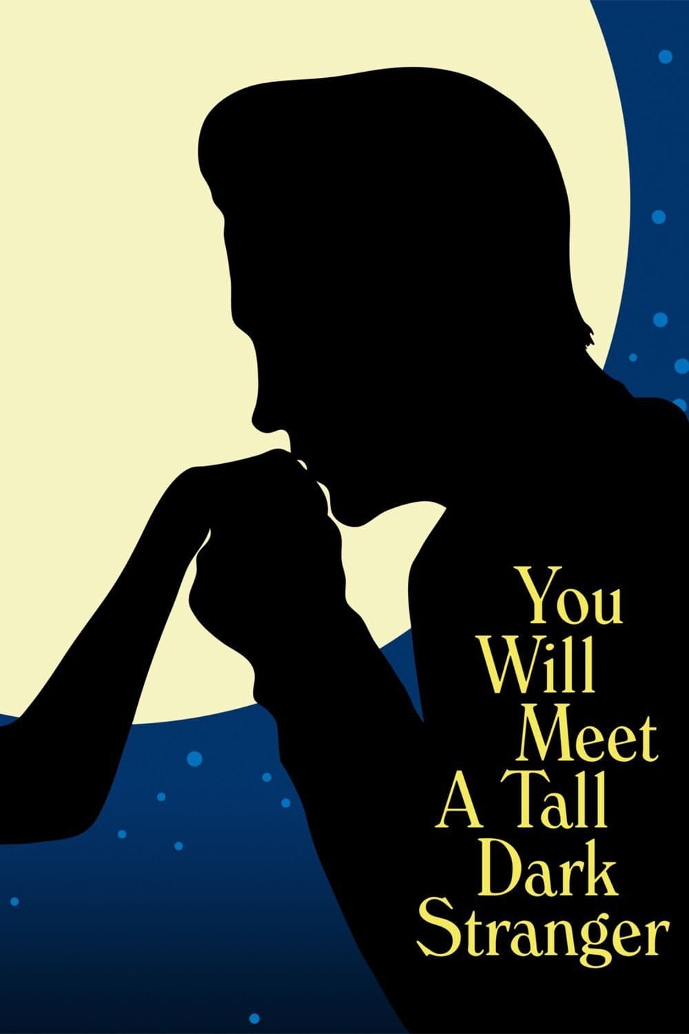 You Will Meet a Tall Dark Stranger est-il disponible sur Netflix ou autre ?