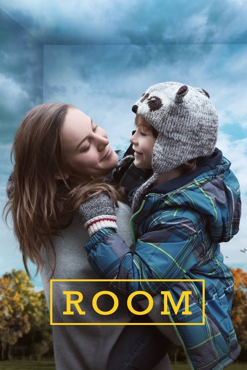Room est-il disponible sur Netflix ou autre ?