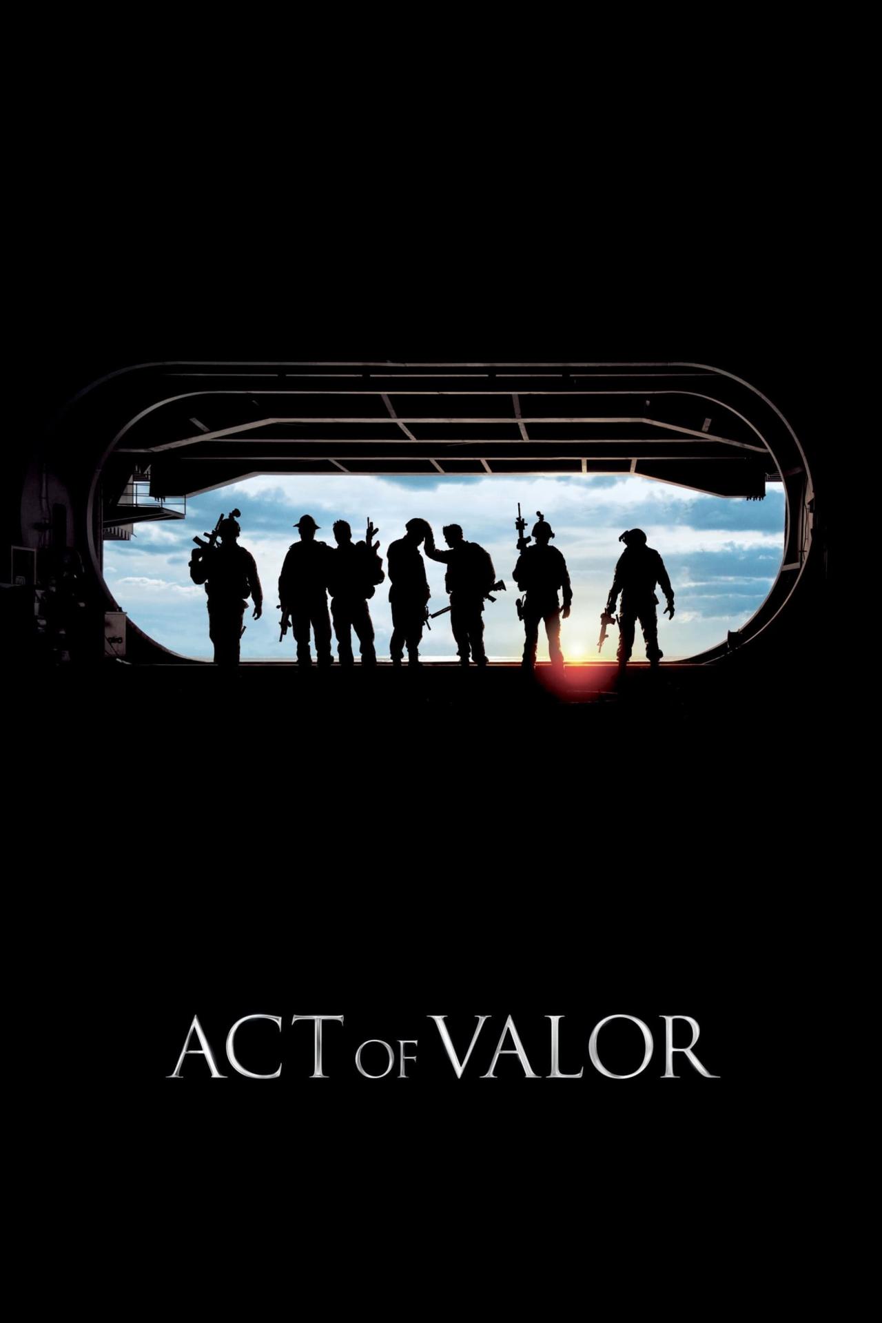 Act of Valor est-il disponible sur Netflix ou autre ?
