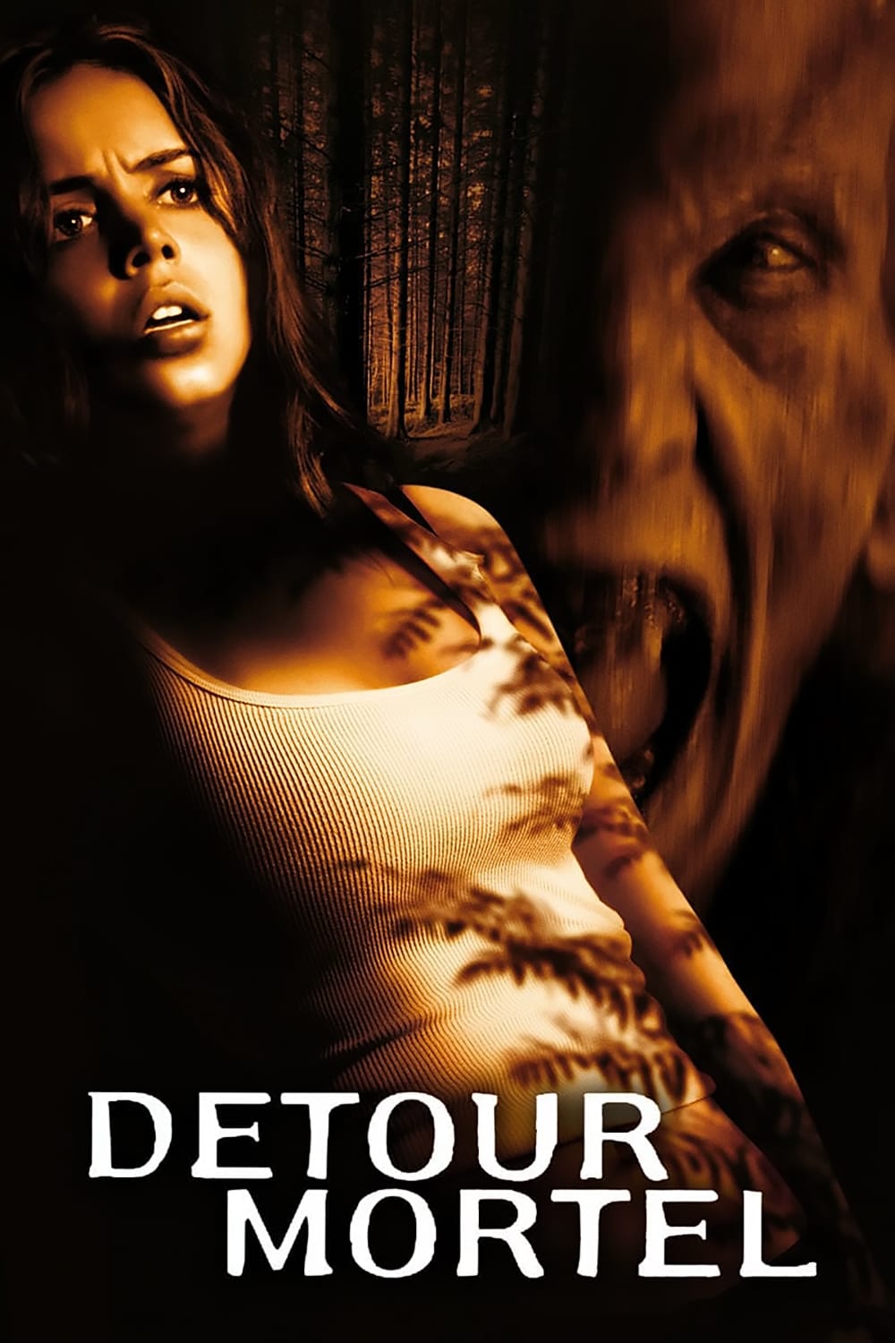 Affiche du film Détour mortel poster