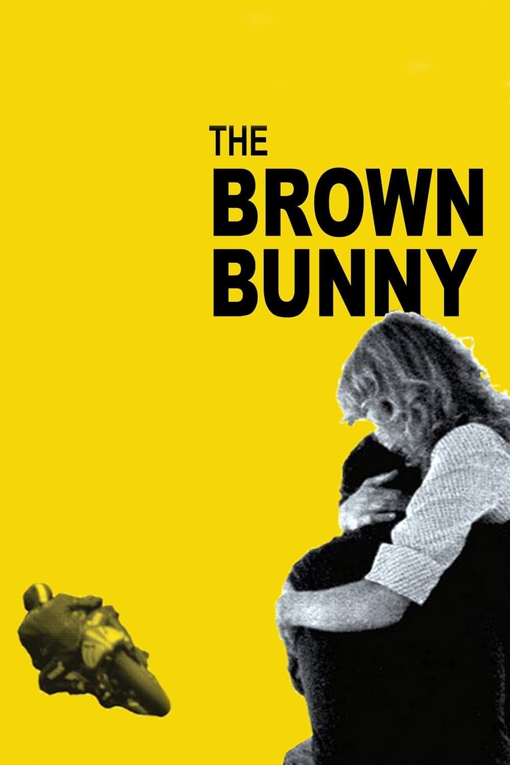 Affiche du film The Brown Bunny poster