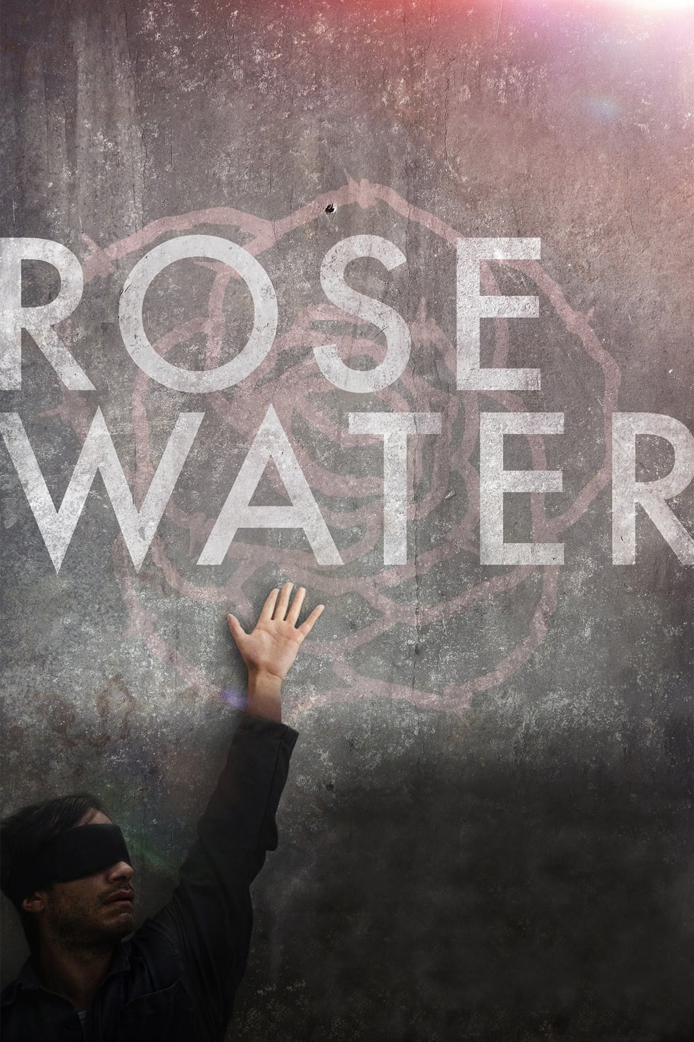 Rosewater est-il disponible sur Netflix ou autre ?