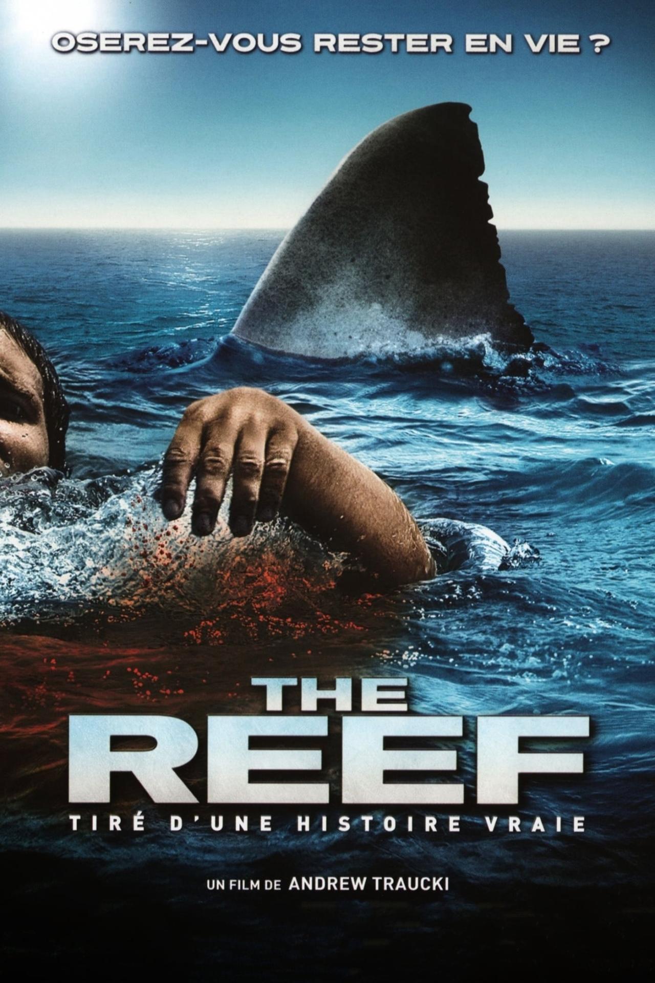 The Reef est-il disponible sur Netflix ou autre ?