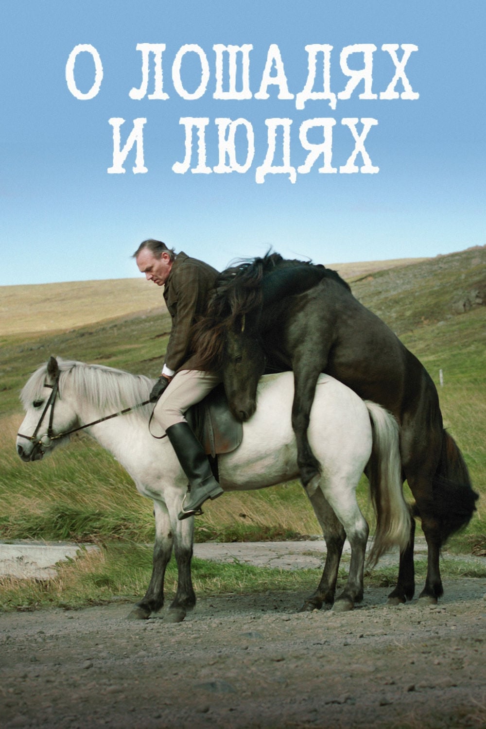 Affiche du film Des chevaux et des hommes poster