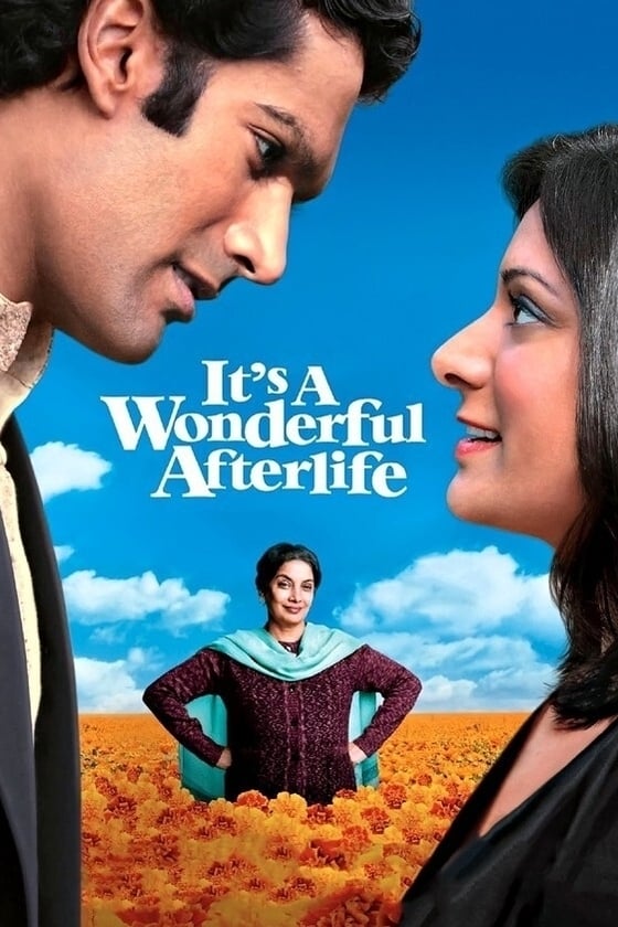 It's a Wonderful Afterlife est-il disponible sur Netflix ou autre ?