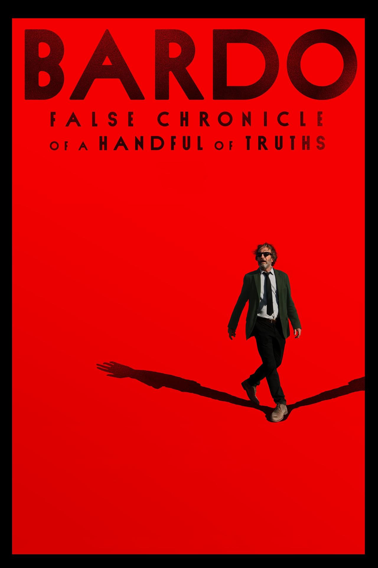 Affiche du film BARDO, False Chronicle of a Handful of Truths poster