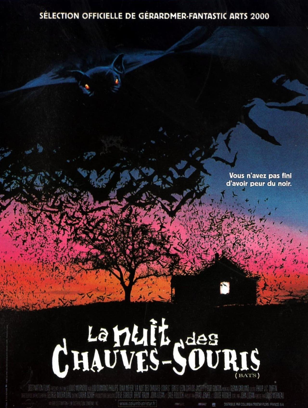 Affiche du film La Nuit Des Chauves-Souris poster