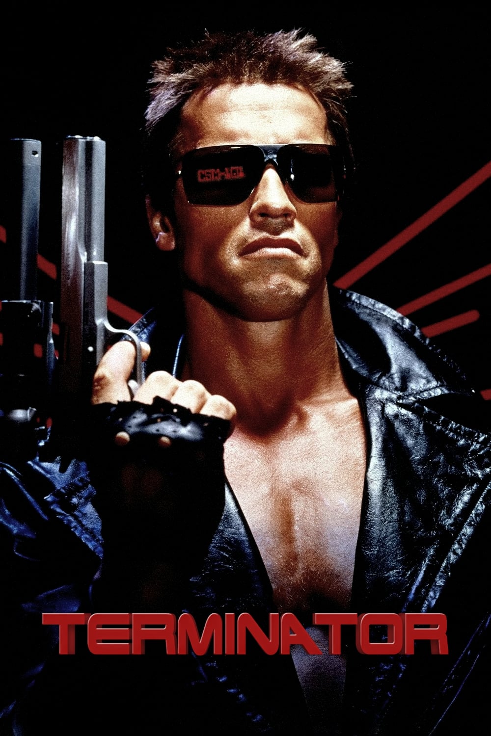 Affiche du film The Terminator