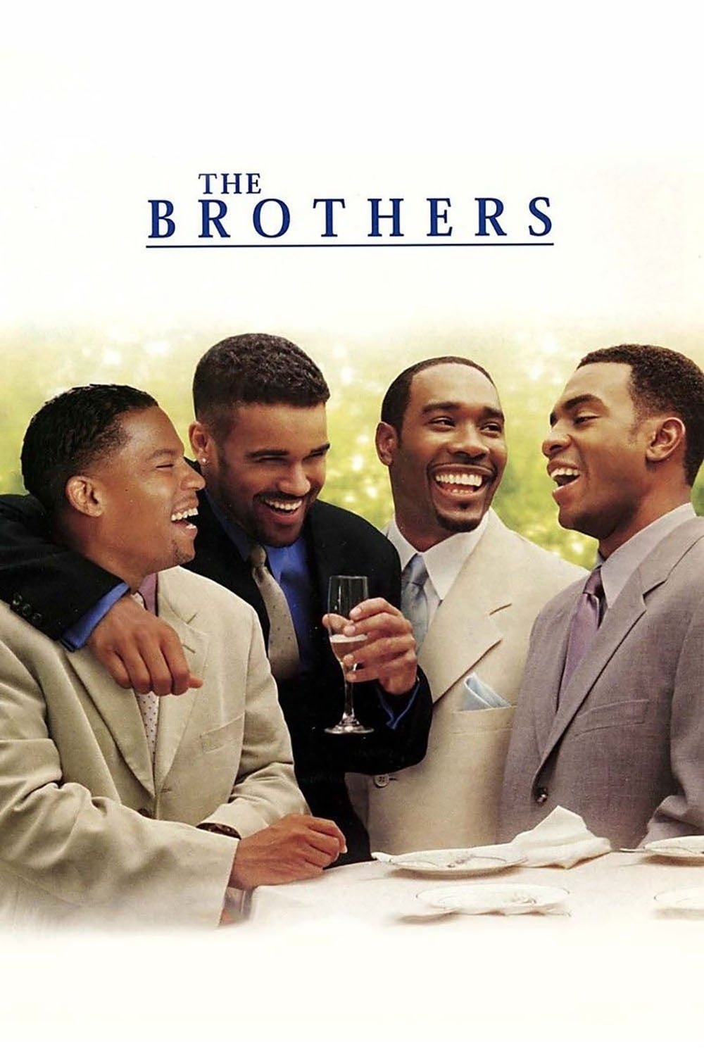The Brothers est-il disponible sur Netflix ou autre ?