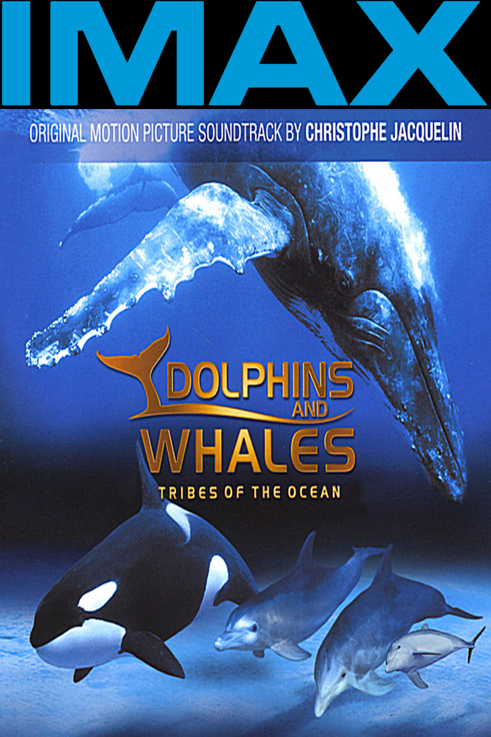 Affiche du film IMAX Dolphins and Whales: Tribes of the Ocean poster