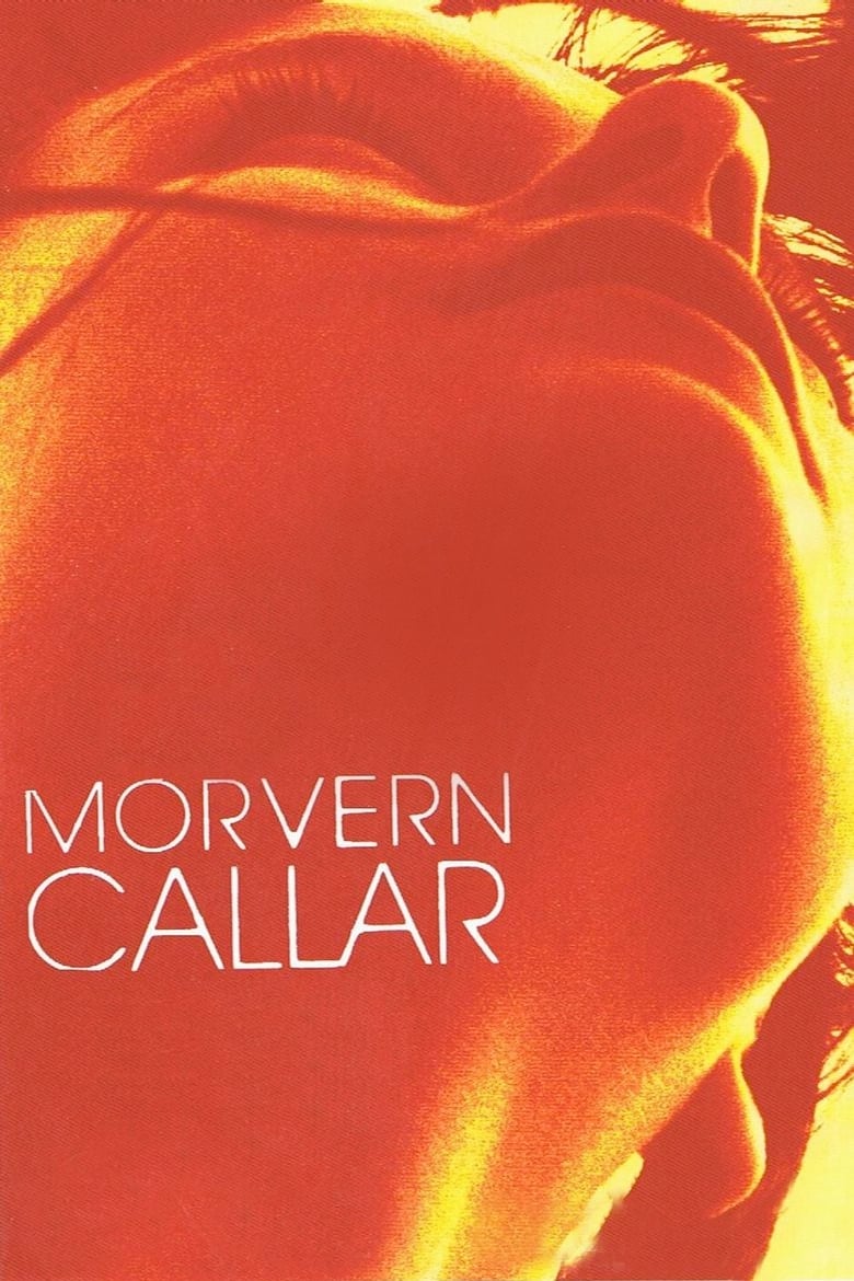 Le voyage de Morvern Callar est-il disponible sur Netflix ou autre ?