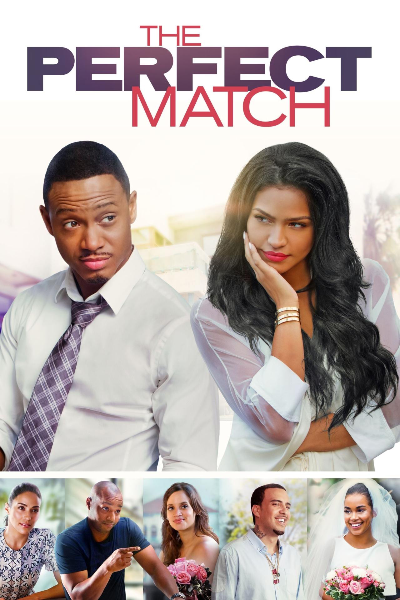 The Perfect Match est-il disponible sur Netflix ou autre ?