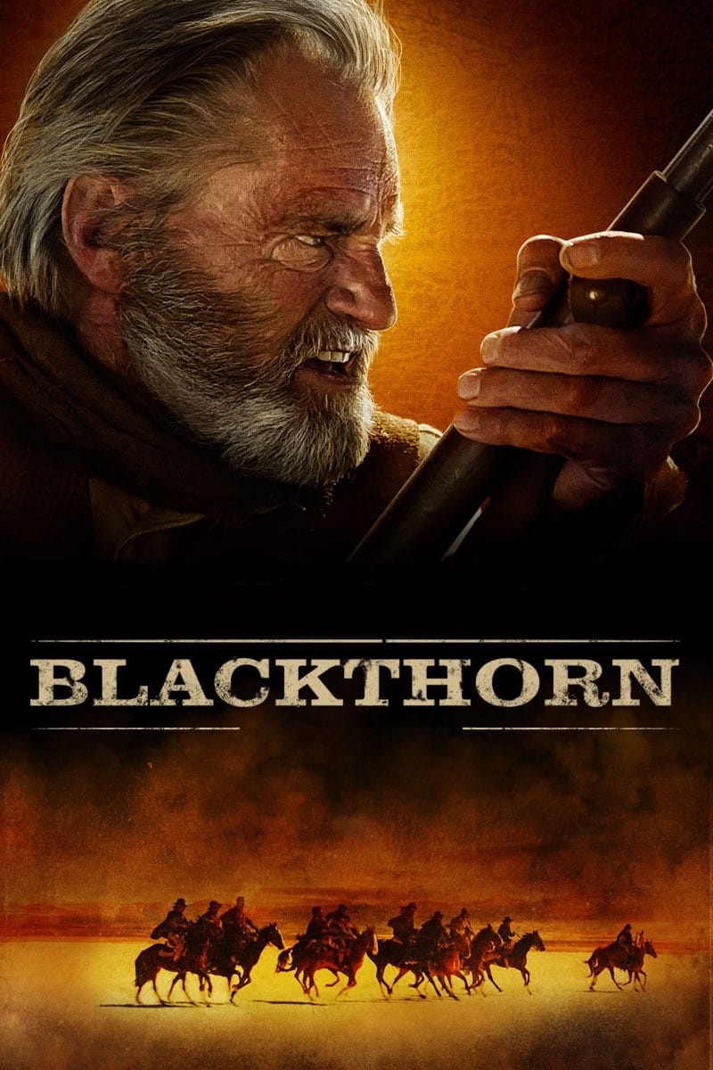 Affiche du film Blackthorn poster