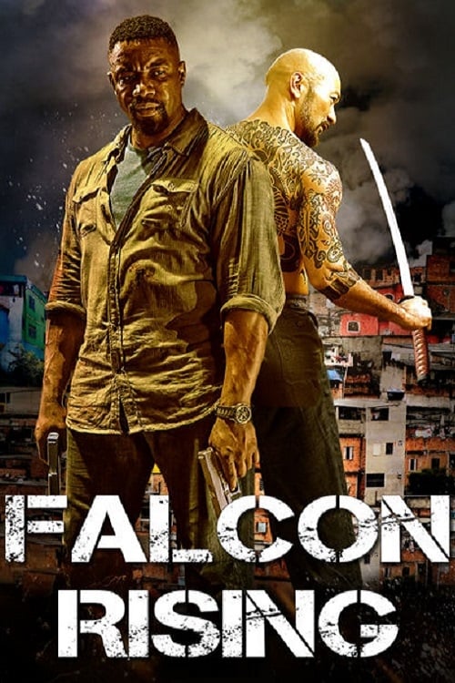 Falcon Rising est-il disponible sur Netflix ou autre ?