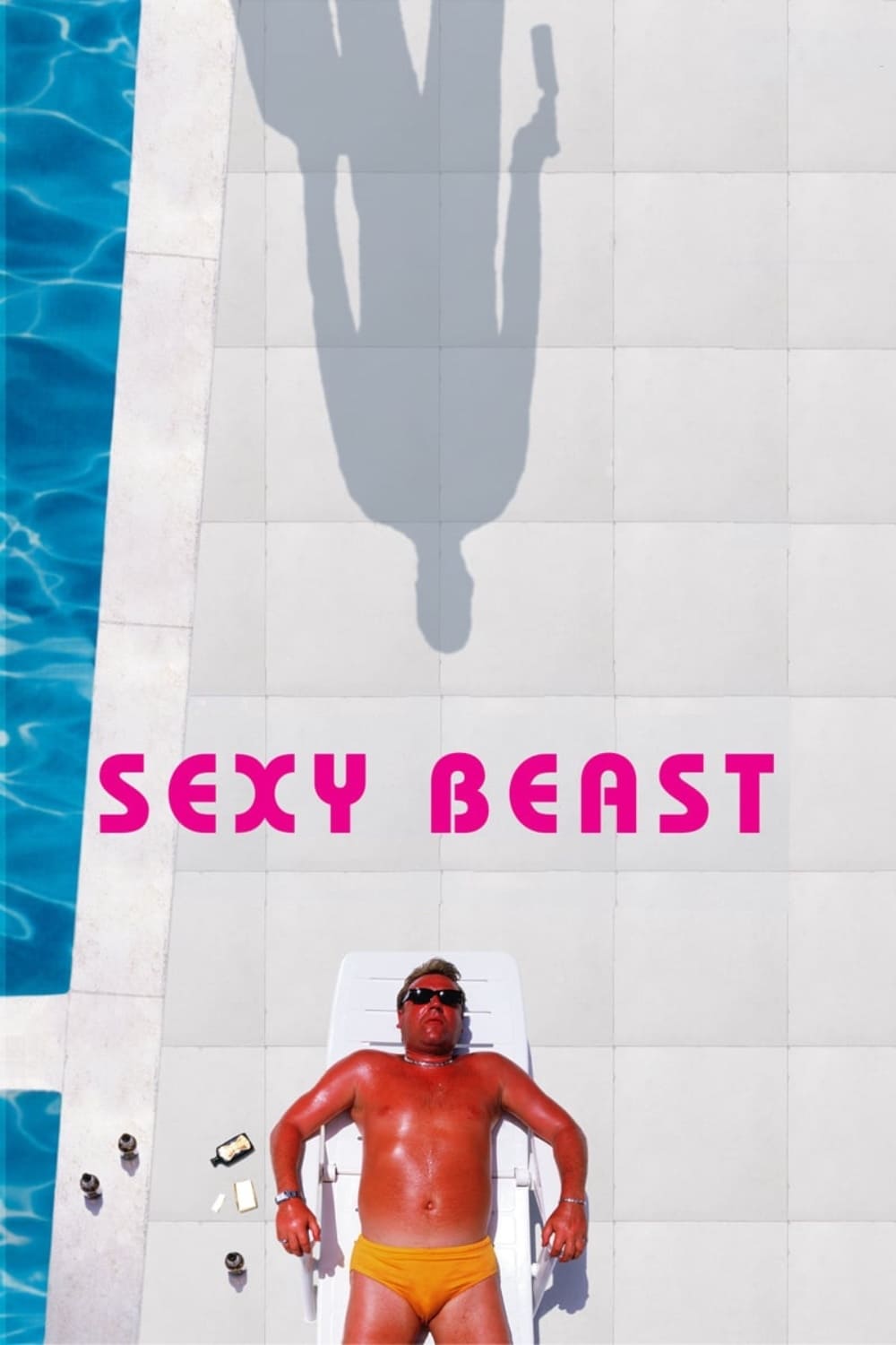 Sexy Beast est-il disponible sur Netflix ou autre ?