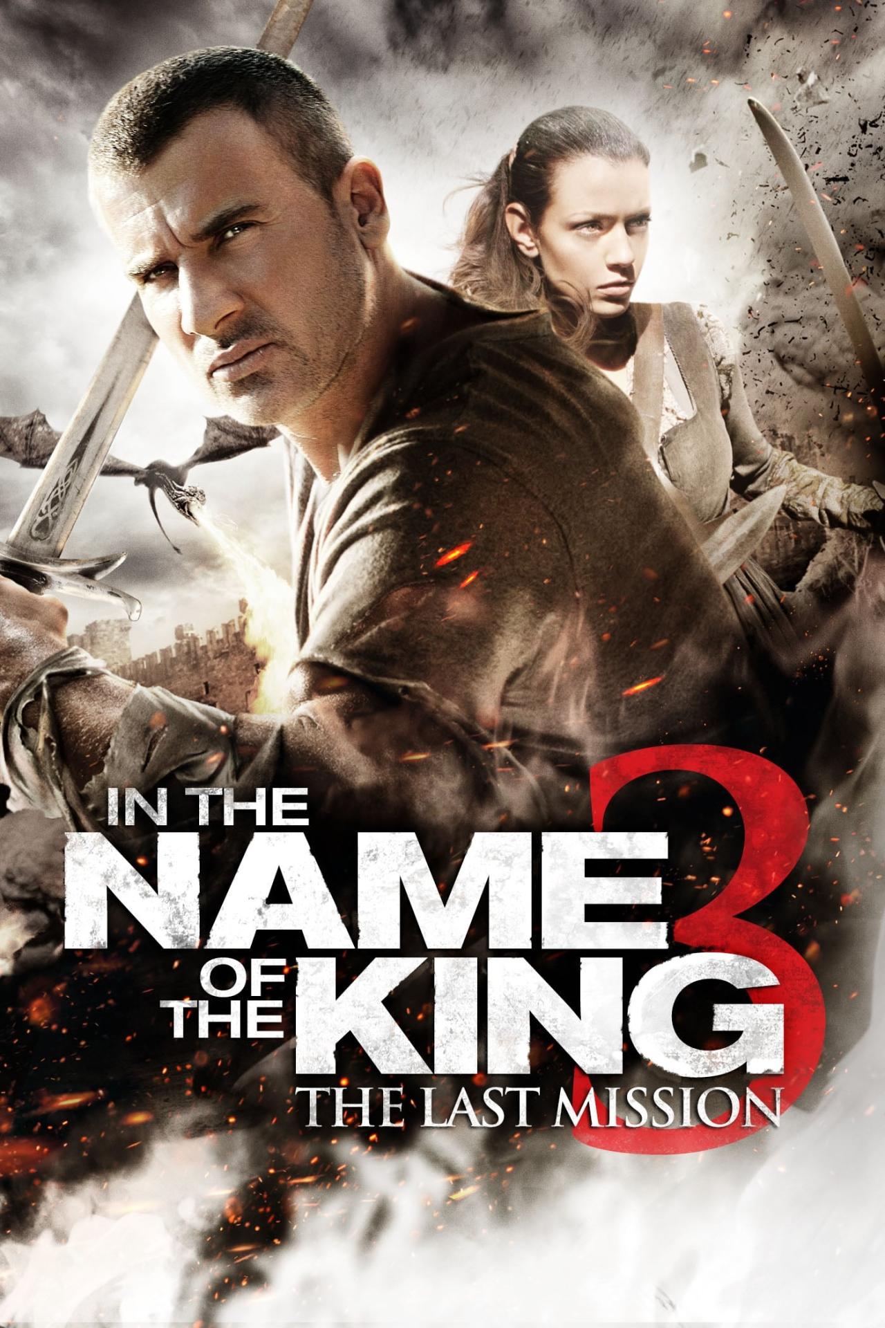 Affiche du film King Rising 3 : La Dernière Mission poster