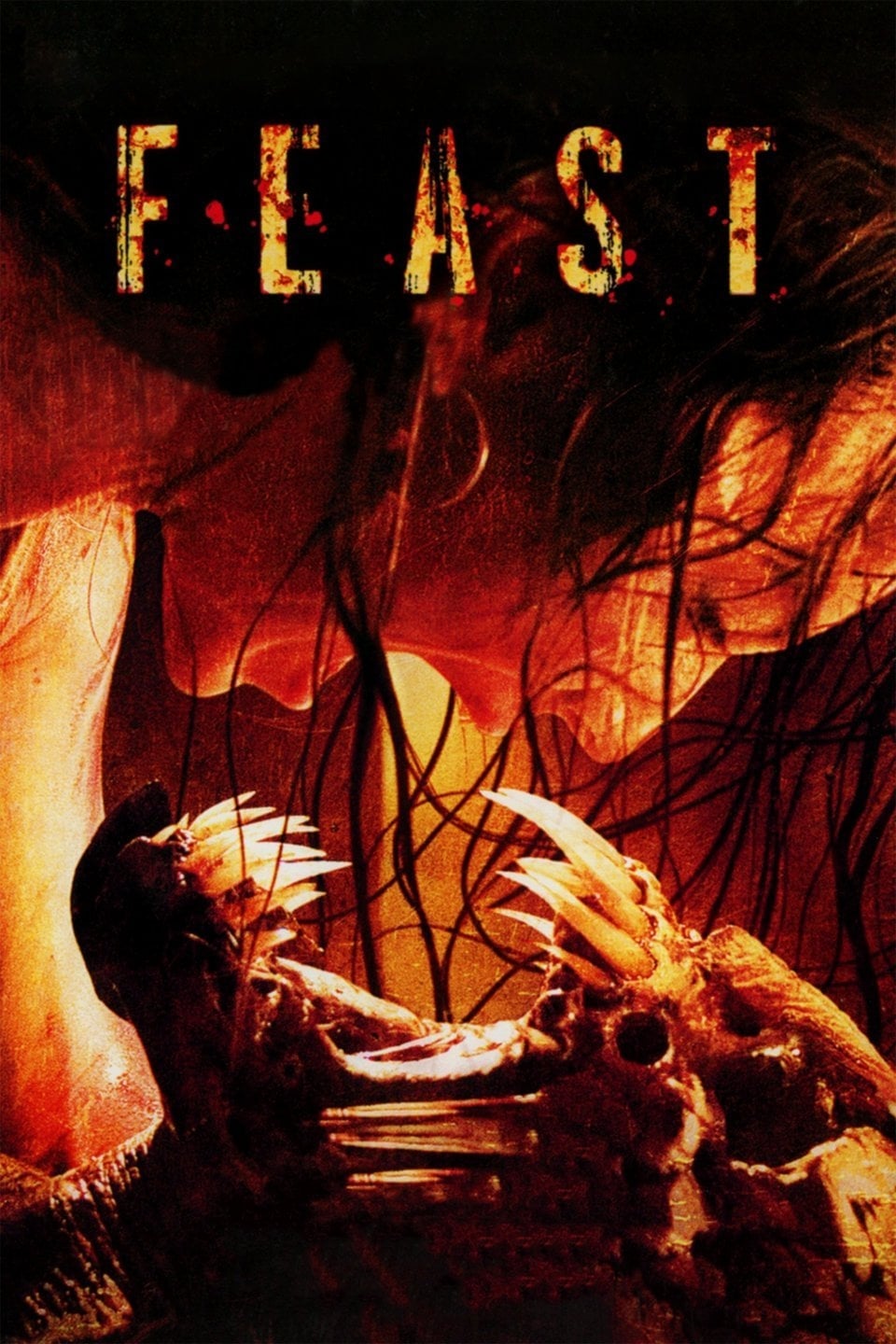 Feast est-il disponible sur Netflix ou autre ?