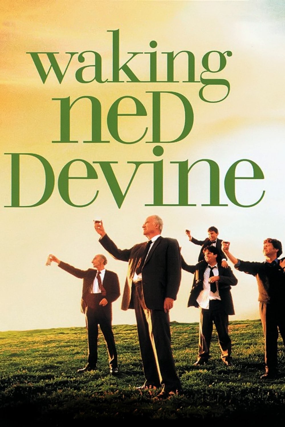 Waking Ned est-il disponible sur Netflix ou autre ?