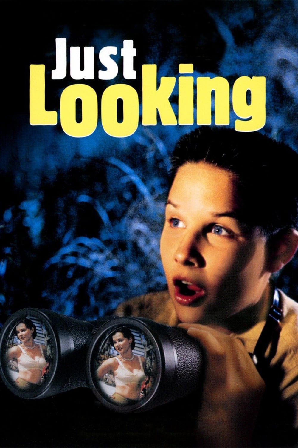 Affiche du film Just Looking poster