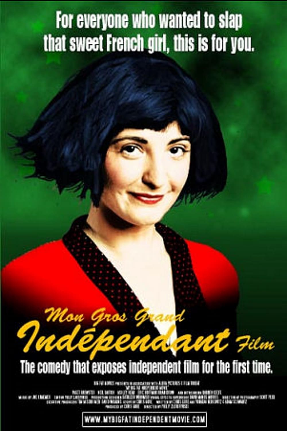 My Big Fat Independent Movie est-il disponible sur Netflix ou autre ?