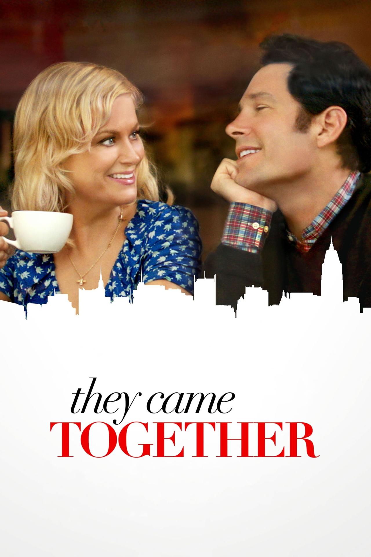 They Came Together est-il disponible sur Netflix ou autre ?