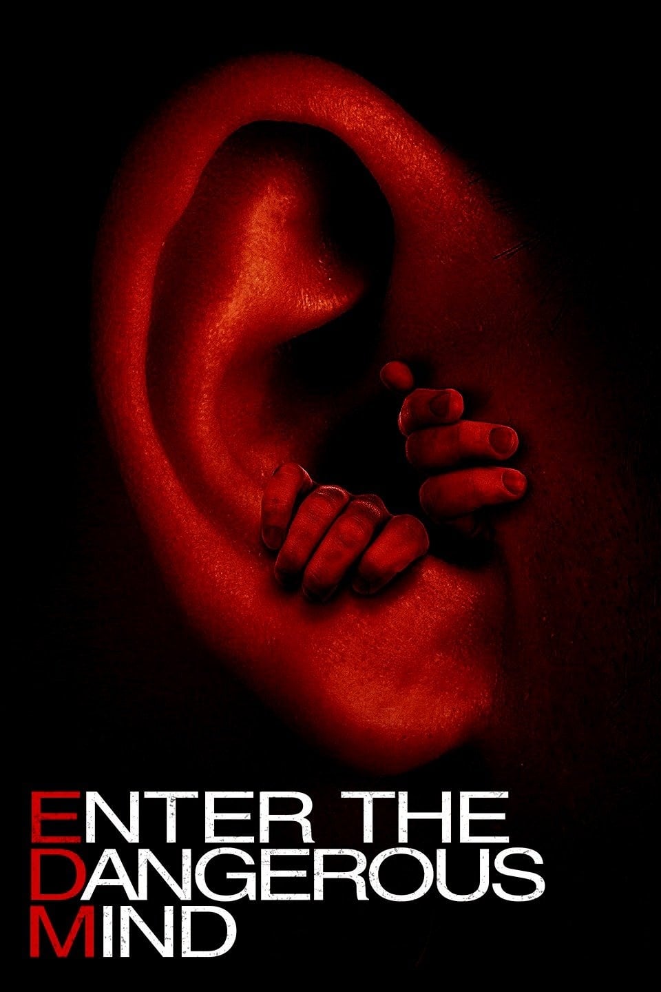 Affiche du film Enter the Dangerous Mind poster