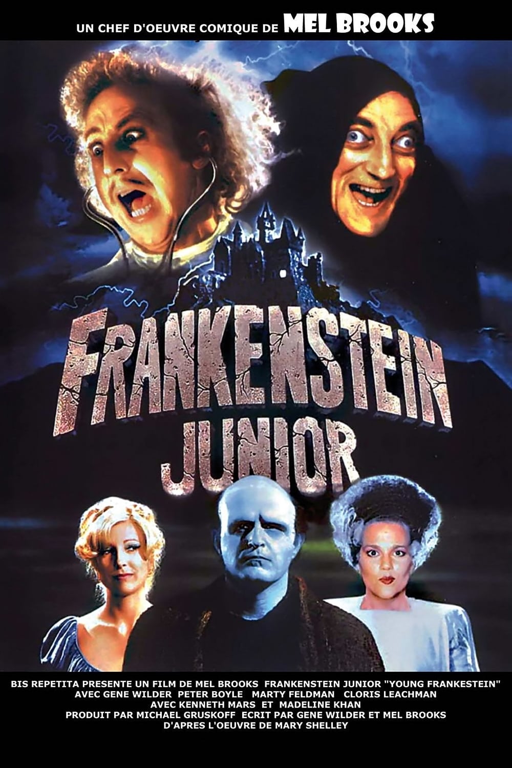 Frankenstein Junior est-il disponible sur Netflix ou autre ?