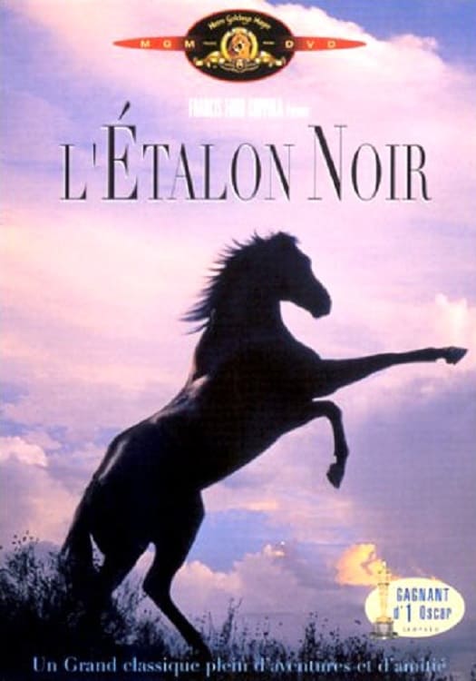 Affiche du film L'étalon noir poster