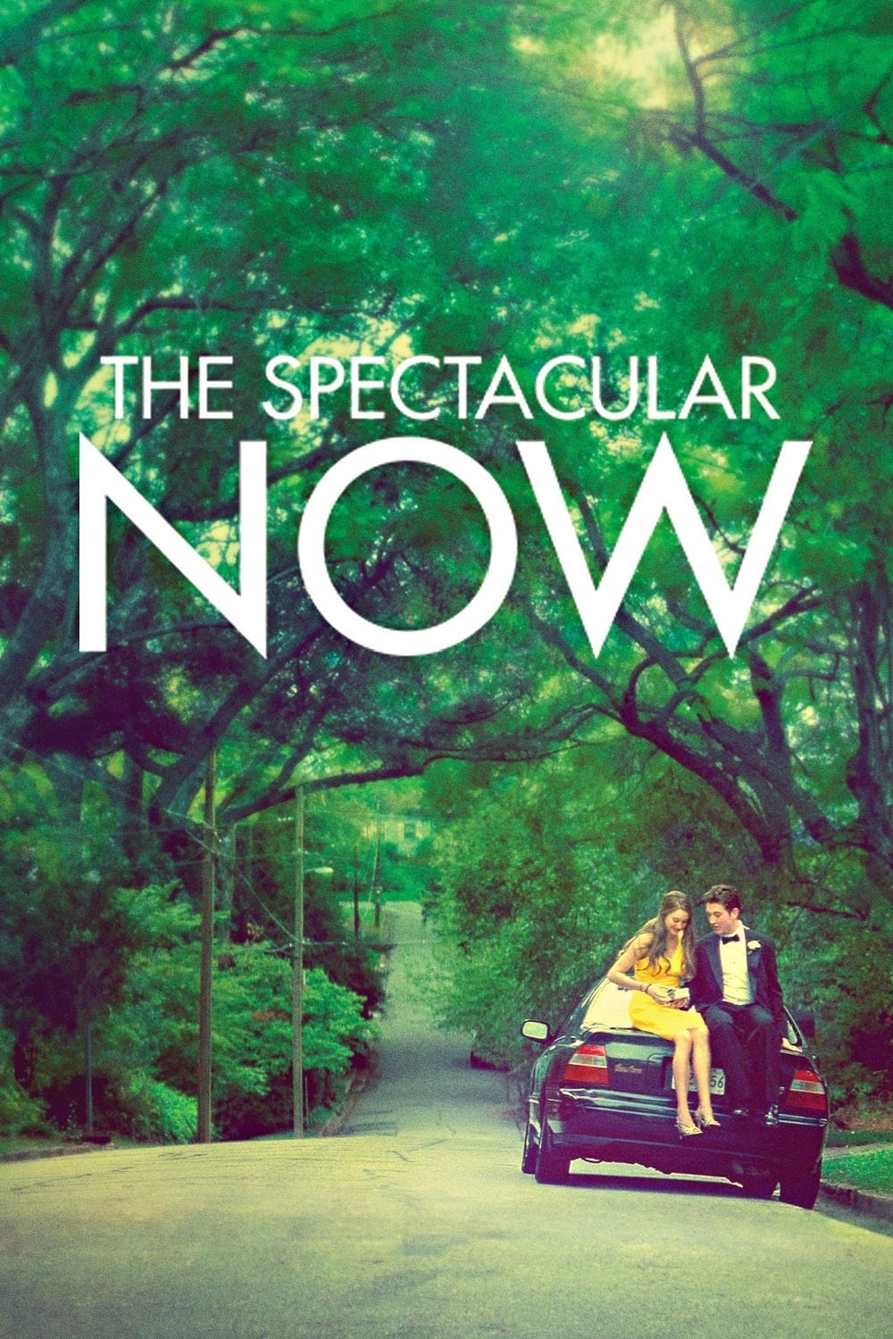 The Spectacular Now est-il disponible sur Netflix ou autre ?