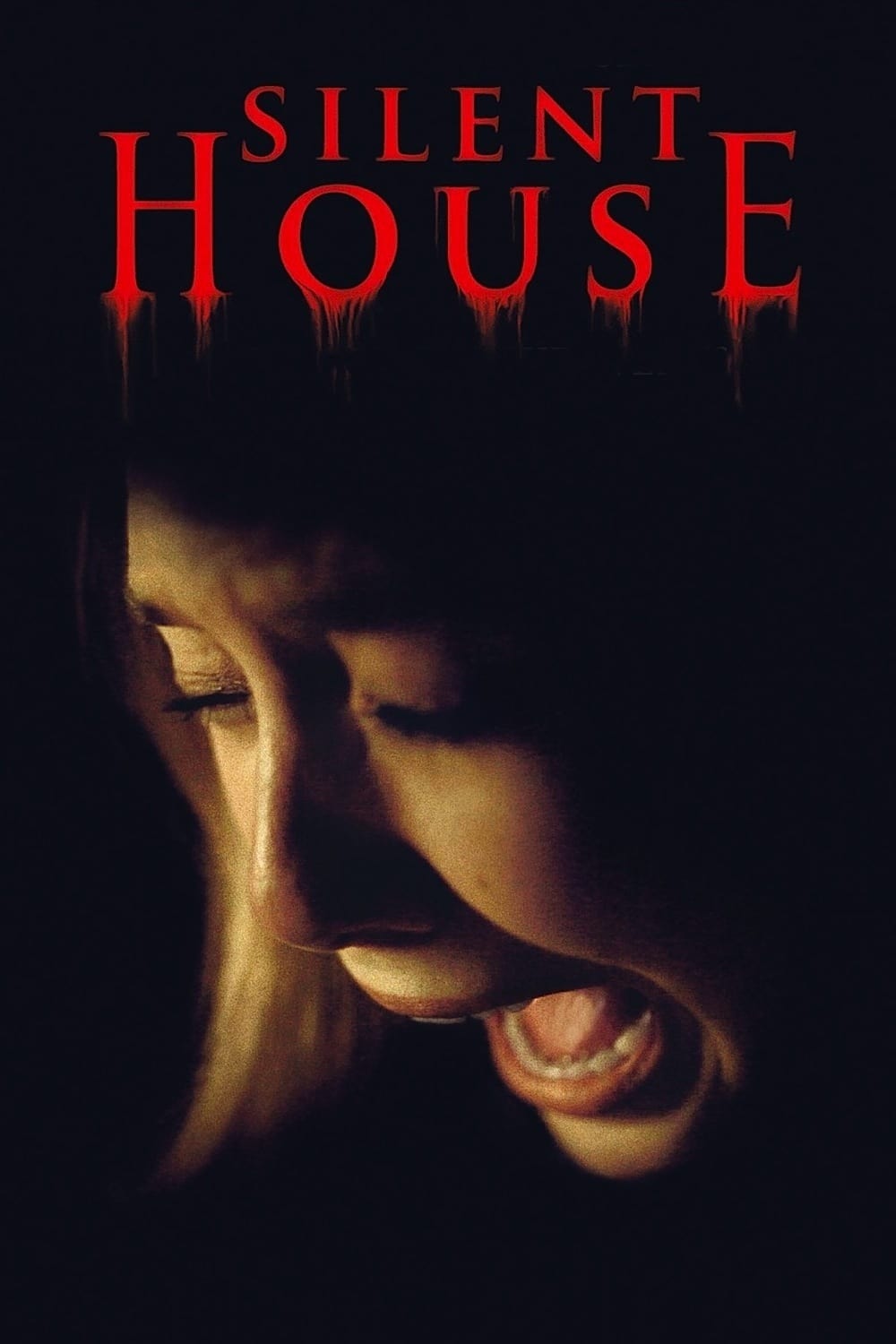 Silent House est-il disponible sur Netflix ou autre ?