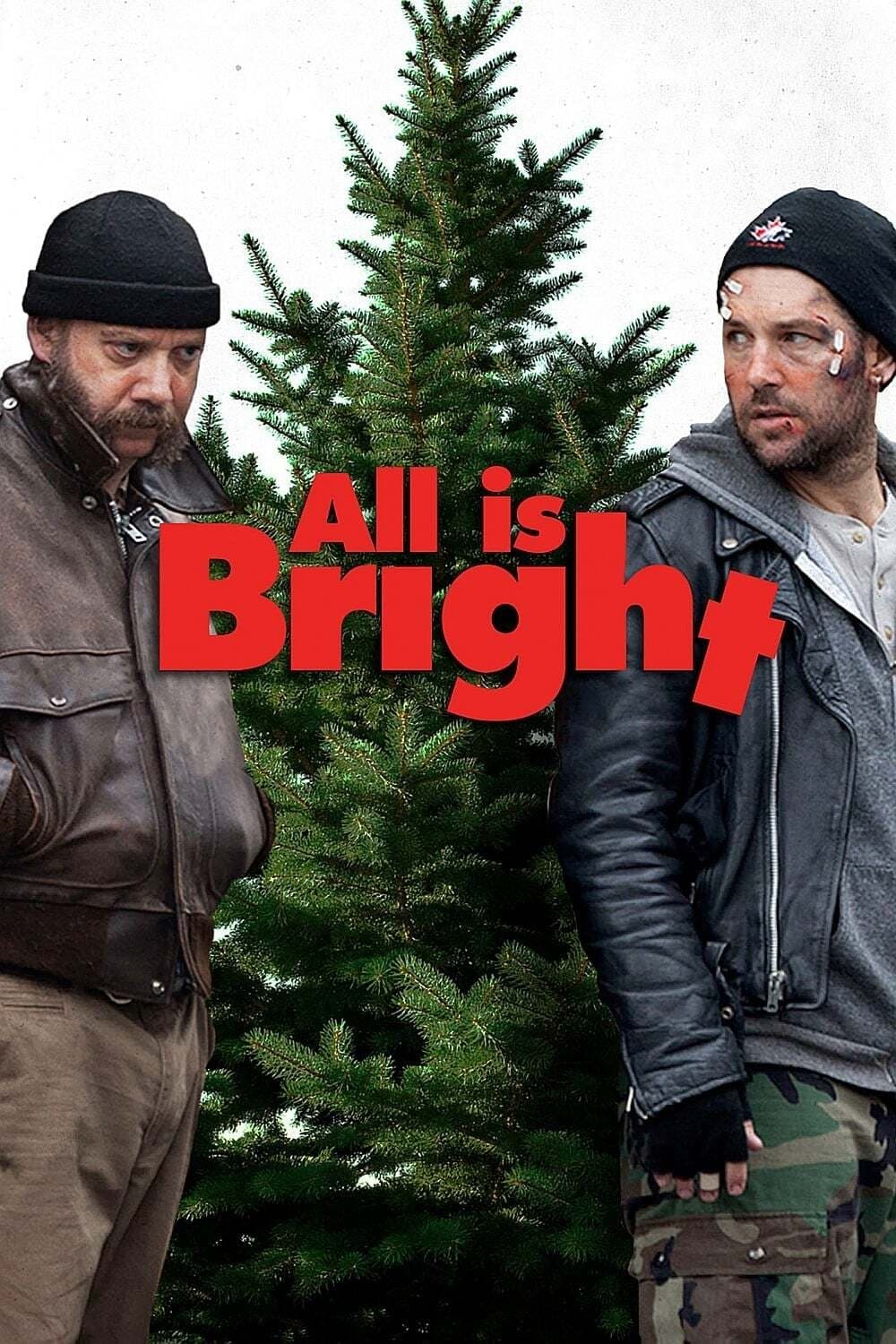 All Is Bright est-il disponible sur Netflix ou autre ?