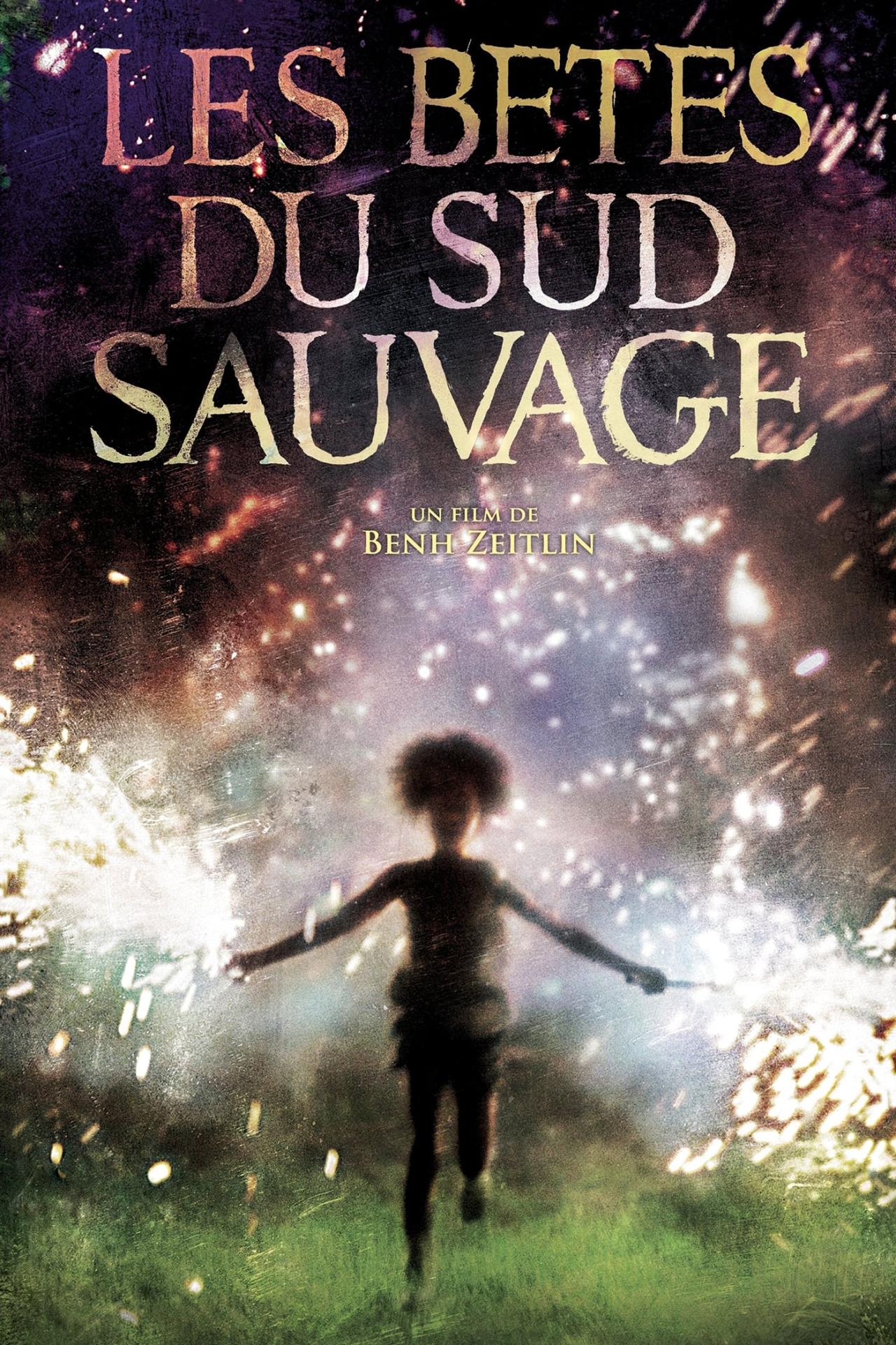 Les bêtes du sud sauvage est-il disponible sur Netflix ou autre ?