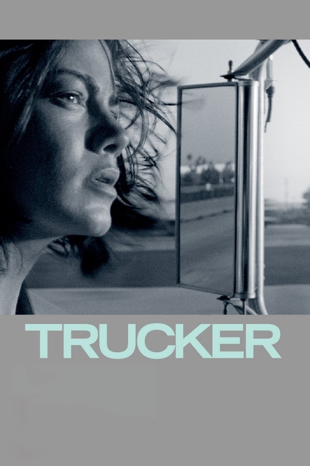 Trucker est-il disponible sur Netflix ou autre ?