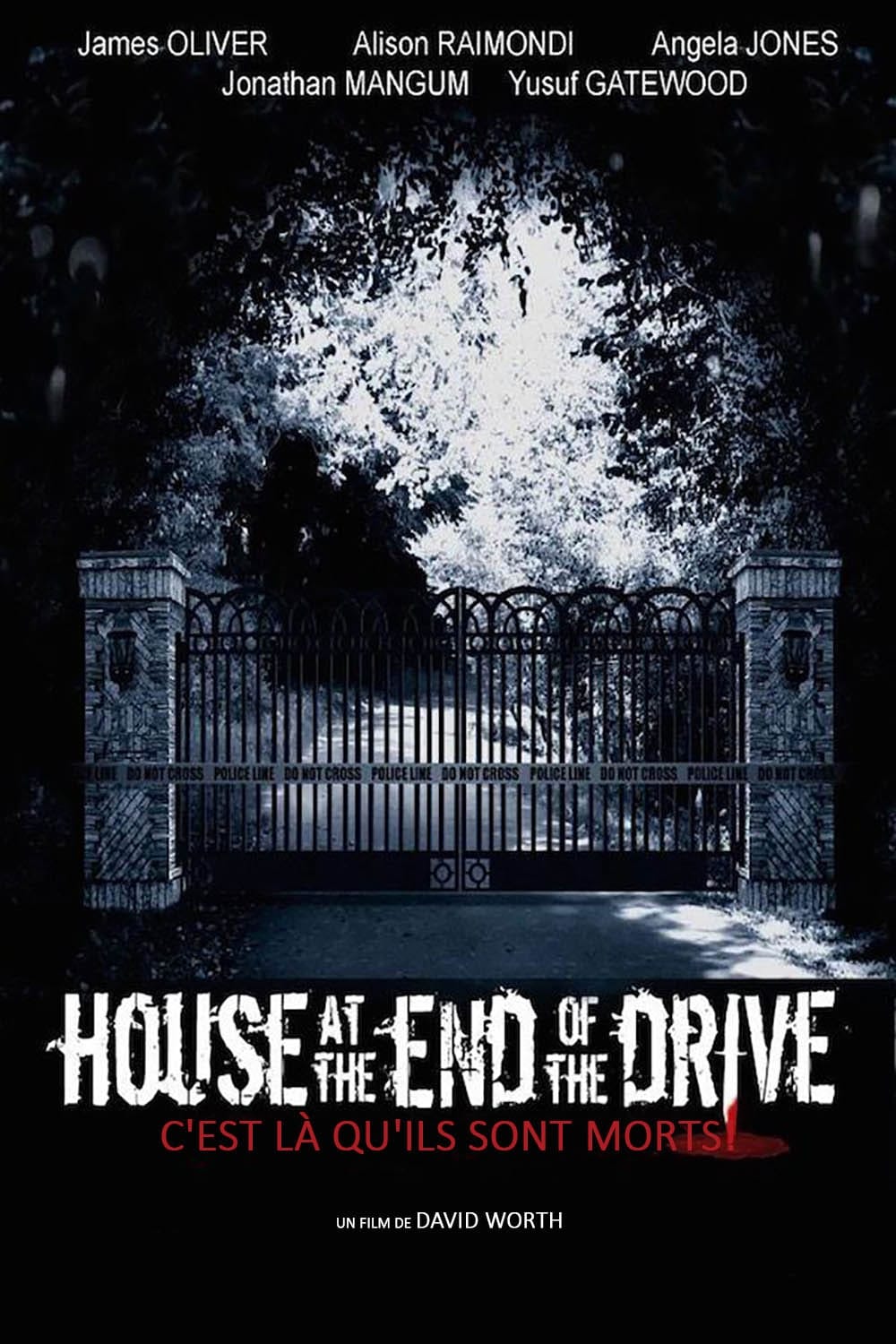 Affiche du film House at the End of the Drive poster