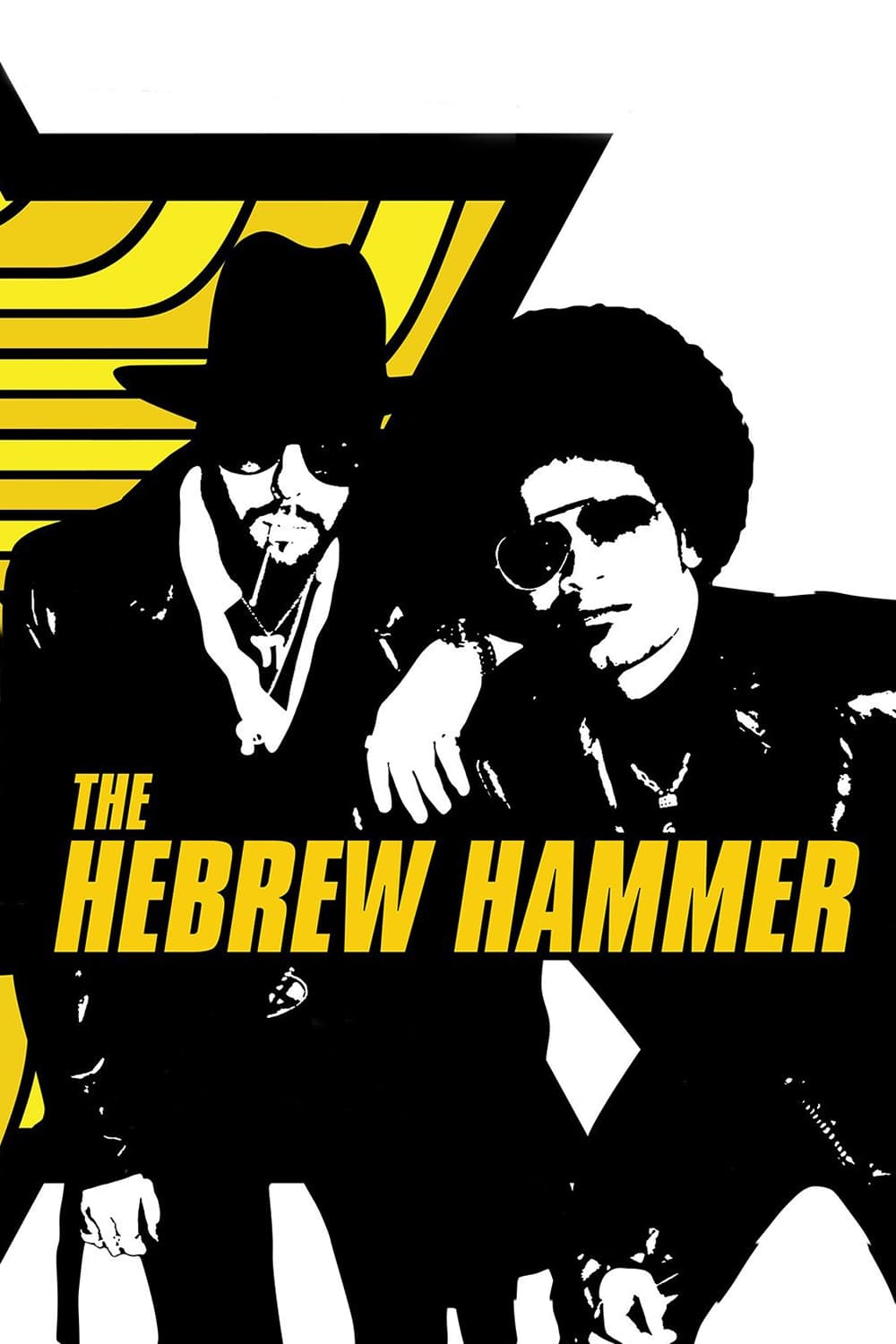 The Hebrew Hammer est-il disponible sur Netflix ou autre ?