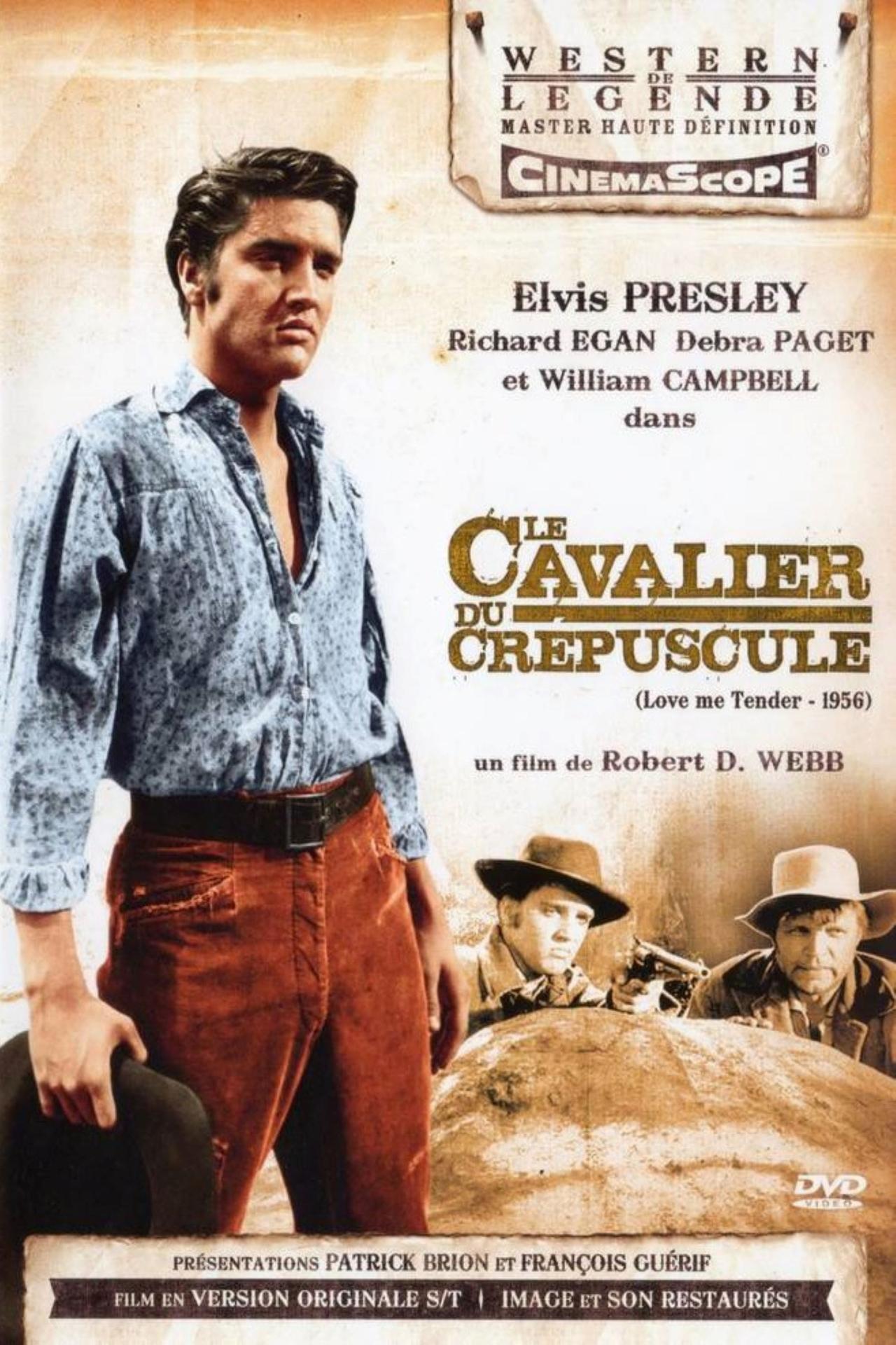 Affiche du film Le Cavalier du crépuscule poster