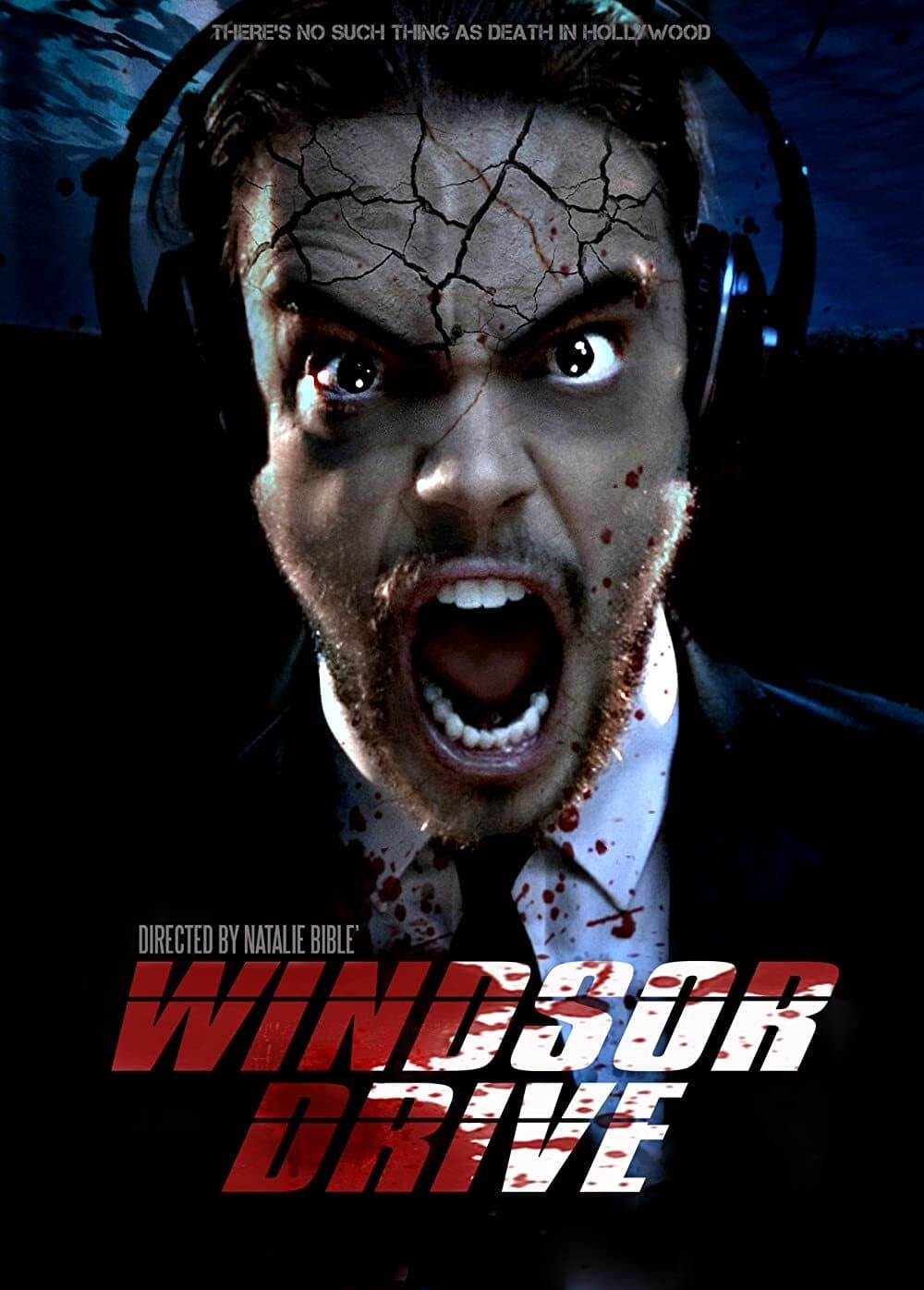 Affiche du film Windsor Drive poster