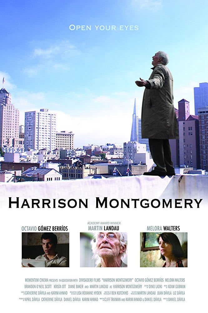 Harrison Montgomery est-il disponible sur Netflix ou autre ?