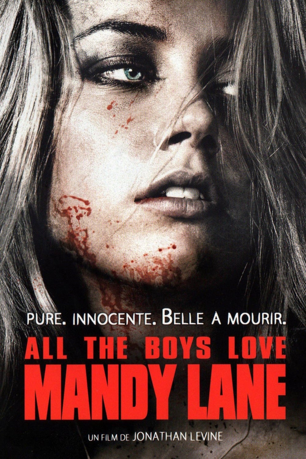 Affiche du film Tous les garçons aiment Mandy Lane poster