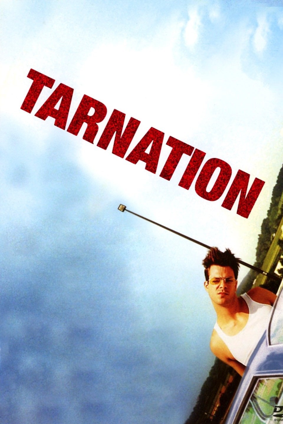 Tarnation est-il disponible sur Netflix ou autre ?