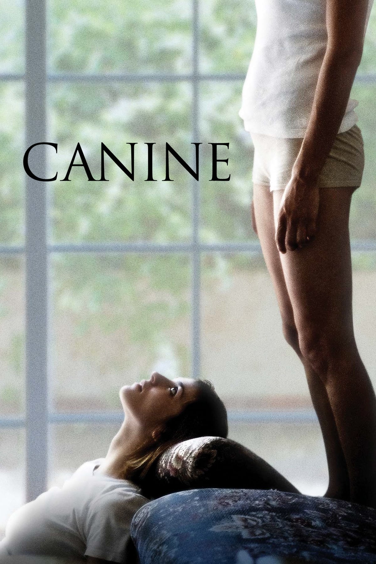 Affiche du film Canine poster