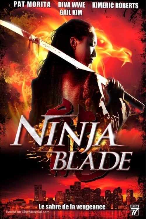 Royal Kill (Ninja Blade) est-il disponible sur Netflix ou autre ?