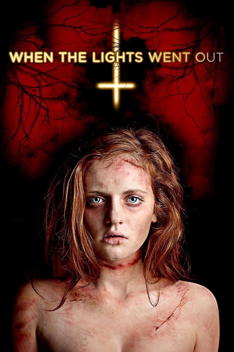 When the Lights Went Out est-il disponible sur Netflix ou autre ?